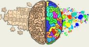 Tři základní reakce mozku a jak je využít