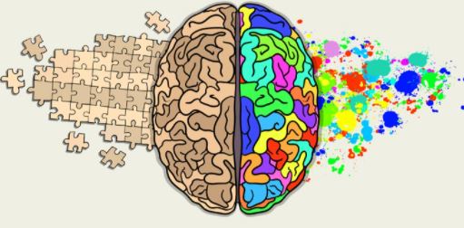 Tři základní reakce mozku a jak je využít
